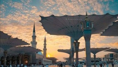 Suasana Masjid Madinah. Sumber Foto: Pinterest