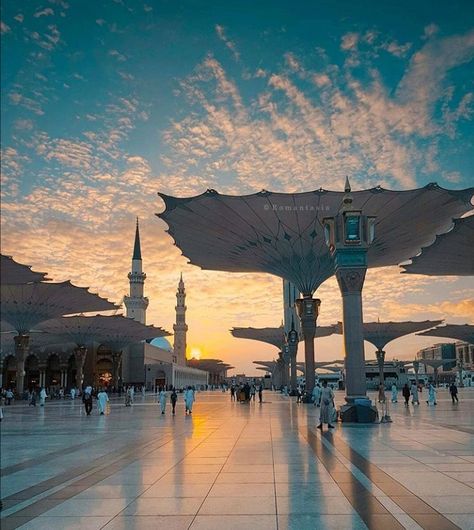 Suasana Masjid Madinah. Sumber Foto: Pinterest