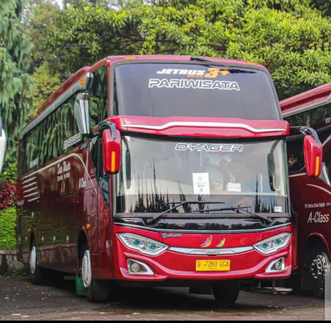 Keterangan foto: Bus Para Peziarah Masuk Jurang. Sumber Foto: Istimewa