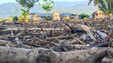 Tangkapan Layar Tumpukan kayu akibat banjir di parig moutong. Sumber foto:Istimewa