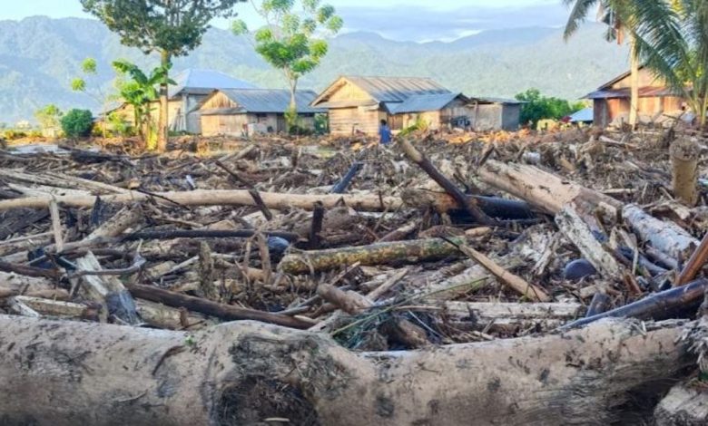 Tangkapan Layar Tumpukan kayu akibat banjir di parig moutong. Sumber foto:Istimewa