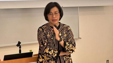 Sri Mulyani Indrawati (Menteri Keuangan). Sumber Foto: Instagram @smindrawati