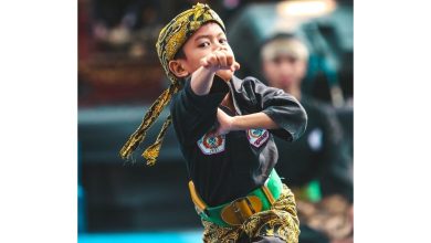 Beberapa Aliran Pencak Silat di Indonesia