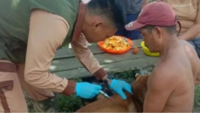 Petugas dinkes memberikan vaksin rabies kepada anjing peliharaan. Sumber foto: Dinkes.Kalbar.go.id