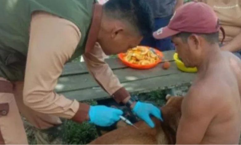 Petugas dinkes memberikan vaksin rabies kepada anjing peliharaan. Sumber foto: Dinkes.Kalbar.go.id