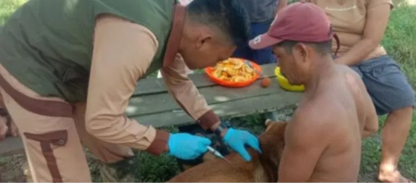 Petugas dinkes memberikan vaksin rabies kepada anjing peliharaan. Sumber foto: Dinkes.Kalbar.go.id