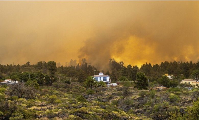 Kawasan hutan di Spanyol yang terbakar. Sumber Foto: Twitter @bdleonanda