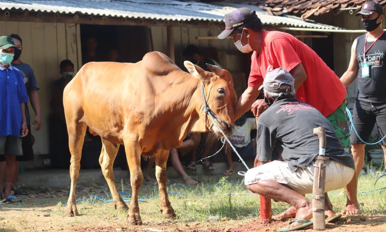 Apakah Daging Kurban Menjadi Haram Jika Lupa Menyebut Nama Allah Saat Menyembelih?