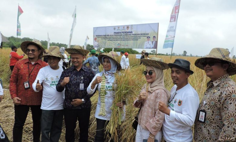 Panen Perdana. Sumber foto: Istimewa