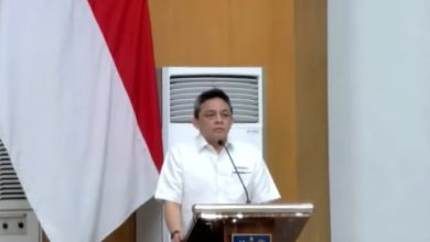 Luky Alfirman (Direktur Jenderal Perimbangan Keuangan Kemenkeu). Sumber Foto: YouTube @KemenkeuRI