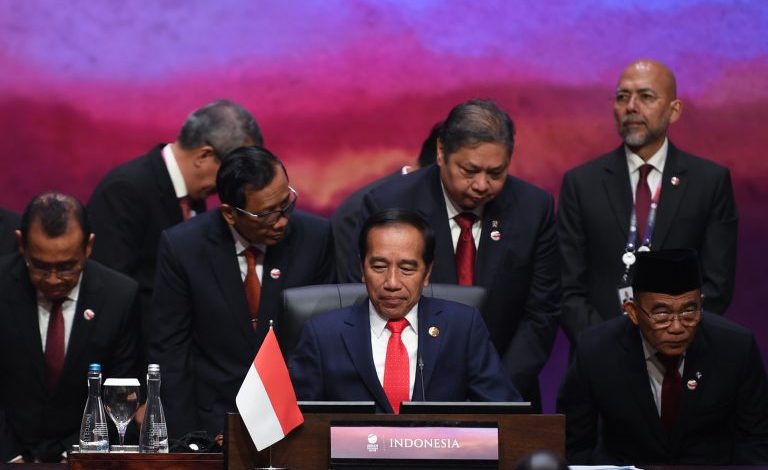 Joko Widodo (Presiden RI). Sumber Foto: Website Sekretariat Kabinet Republik Indonesia 