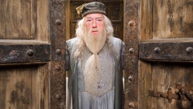Michael Gambon pemeran Dumbledore dalam serial 'Harry Potter' Sumber Foto: imdB