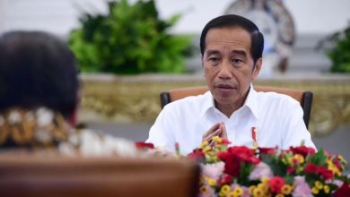 Jokowi Restui Kaesang Jadi Ketum PSI