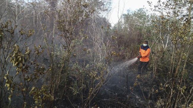 Upaya Pemadaman Kartula Di Kalimantan Tengah. Sumber Foto: BPBD Kotim