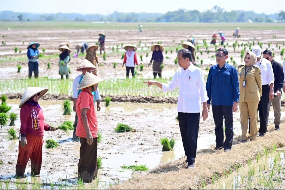 Jawab Keluhan Petani, Jokowi Setujui Pembelian Pupuk dengan KTP