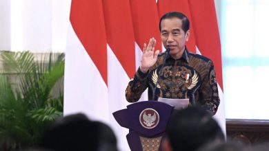 Megawati Kritik Pemerintah, Ini Respon Jokowi