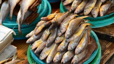 Setelah Harga Cabai Rawit Meroket, Kini Komoditas Ikan Buat Masyarakat Merana