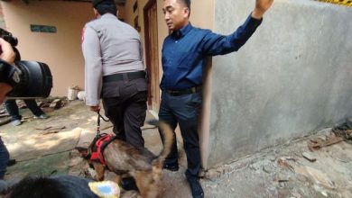 Anjing K-9 milik Direktorat Samapta Polda Metro Jaya dikerahkan untuk memeriksa TKP, Sumber foto: Istimewa