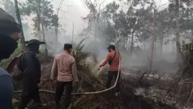 Tim BPBD Kubu Raya saat berupaya memadamkan api akibat karhutla, Sumber foto: Antara