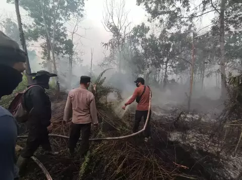 Tim BPBD Kubu Raya saat berupaya memadamkan api akibat karhutla, Sumber foto: Antara