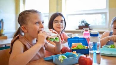 Program Makan Siang Gratis Diprediksi akan Pangkas Anggaran Pendidikan dan Sosial, Begini Simulasinya Menurut Ekonom