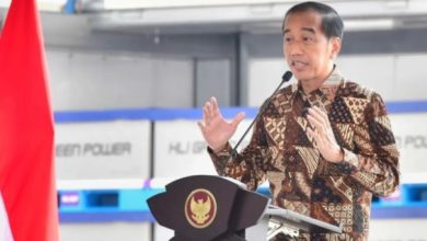 Jokowi (Presiden RI). Sumber Foto: Instagram @jokowi