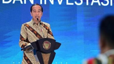 Jokowi (Presiden RI). Sumber Foto: Istimewa