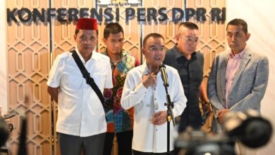 Sufmi Dasco Ahmad (Wakil Ketua DPR RI). Sumber Foto: Istimewa