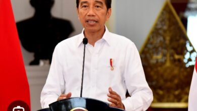 Jokowi (Presinden RI). Sumber Foto: Istimewa