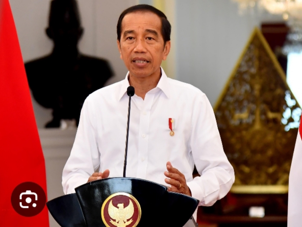 Jokowi (Presinden RI). Sumber Foto: Istimewa