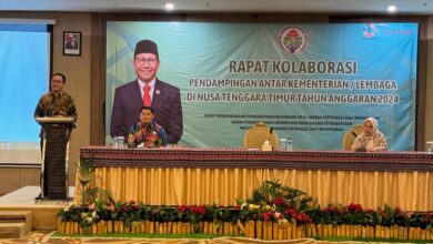 Rapat kolaborasi pendampingan antar lembaga oleh Kemendesa PDTT. Sumber Foto: Istimewa