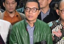 Achmad Baidowi (Ketua DPP PPP). Sumber Foto: Istimewa