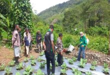 Kelompok Tani Mawar mengunjungi sayur kol. Sumber foto: Dok. TEKAD.