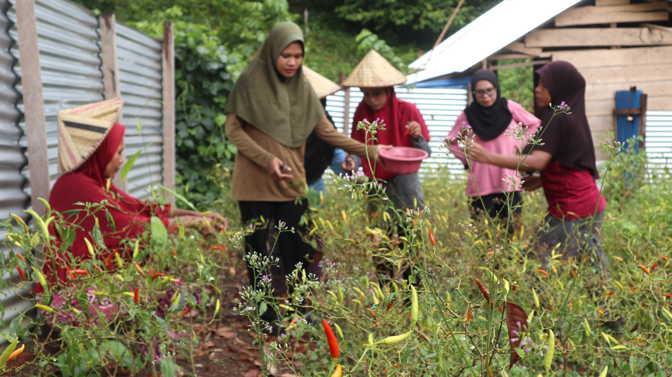 Muliani Sengan (Ketua Kelompok Fakatoto). Sumber foto: Humas Kemendesa