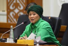 Luluk Nur Hamidah, sumber foto: Istimewa