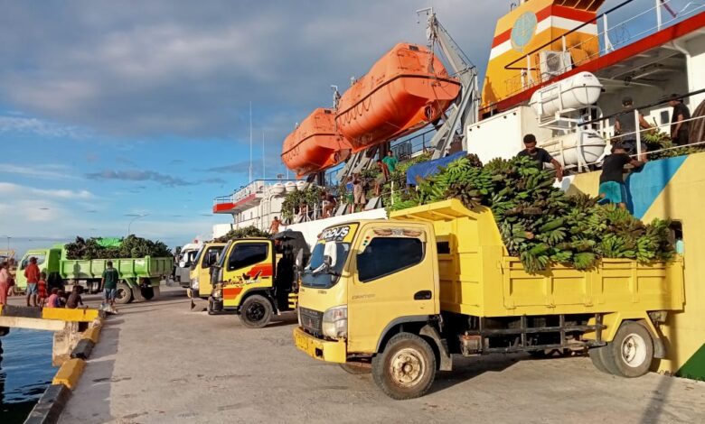 Komoditas pisang, sumber foto: Istimewa