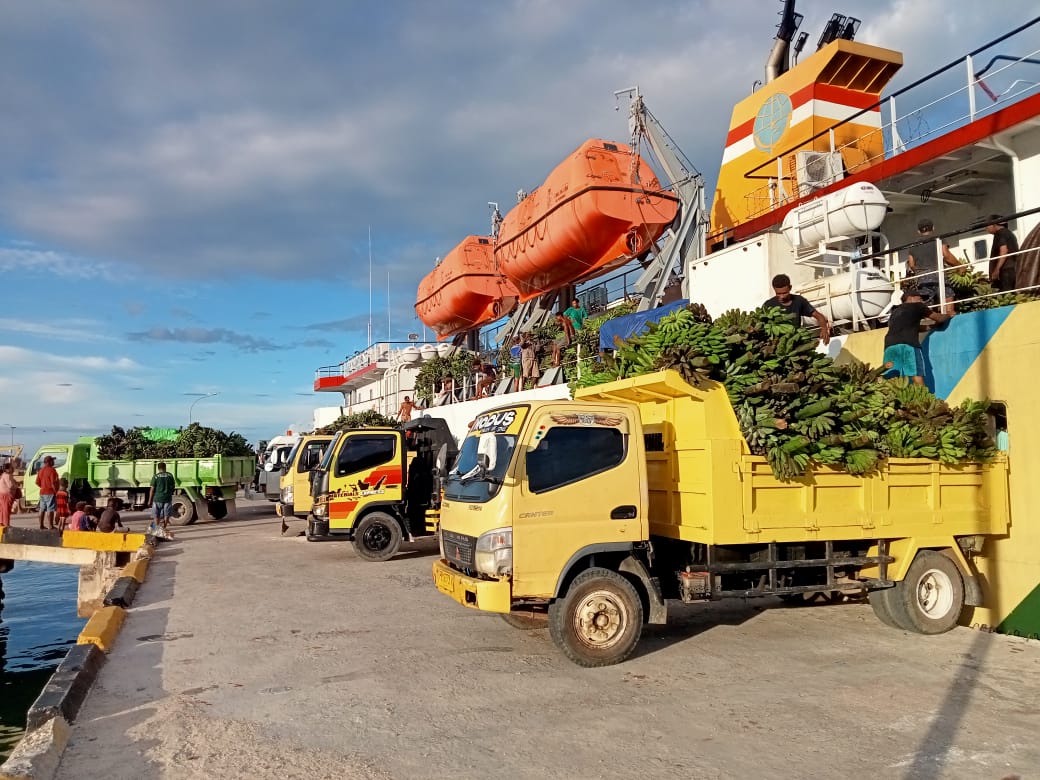 Komoditas pisang, sumber foto: Istimewa