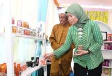 Direkrut Jenderal Pengembangan Ekonomi dan Investasi Desa, DTT, Ir,.Harlina Sulistyorini, Sumber: Istimewa