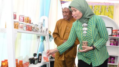 Direkrut Jenderal Pengembangan Ekonomi dan Investasi Desa, DTT, Ir,.Harlina Sulistyorini, Sumber: Istimewa