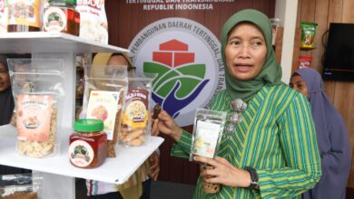 Direktur Jenderal Pengembangan Ekonomi dan Investasi Desa (PEID) Kementerian Desa, Pembangunan Daerah Tertinggal, dan Transmigrasi (Kemendesa PDTT), Harlina Sulistyorini, Sumber: Istimewa