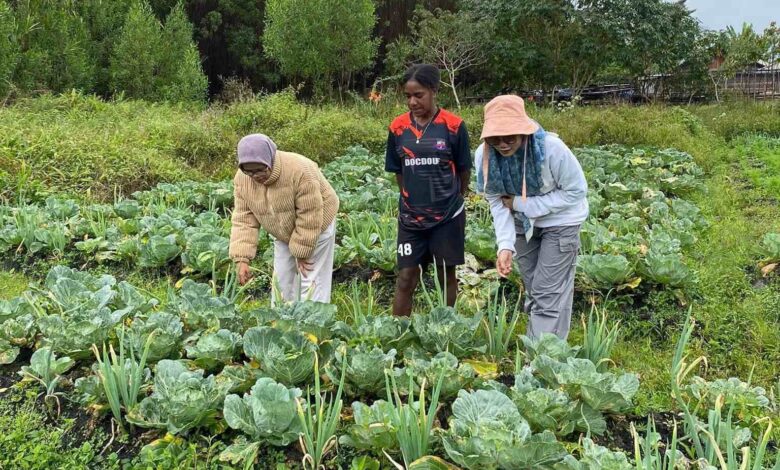 Mama-mama Papua. Sumber foto: Humas Kemendesa