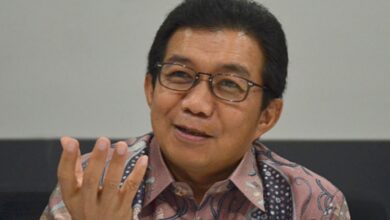 Muliaman Darmansyah Hadad (Kepala BP Investasi Danantara). Sumber Foto: Istimewa