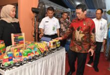 Wakil Menteri Desa, Riza Patria