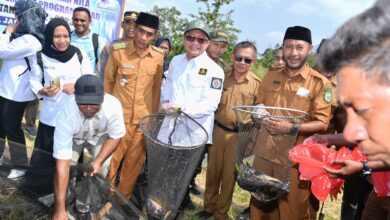 Bersama Program TEKAD, Masyarakat Desa Jarakore Rintis Budidaya Ikan Nila