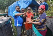 Keterangan Foto: Pelatihan teknik pemijahan ikan oleh Program TEKAD Sumber: Istimewa