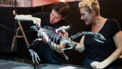 Dinosaurus Mini Ini Bantu Ilmuwan Mengisi Celah Ekosistem Purba