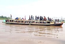 Kapak Black Cobra, Sumber: Istimewa