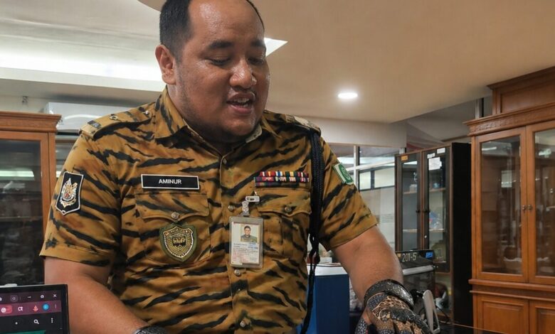 Demi Mencari Validasi VIP, Datang dengan Seragam Dishut Bangladesh Demi Mencari Validasi VIP, Datang dengan Seragam Dishut Bangladesh