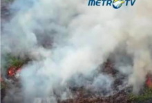 Globalisasi dan Rapuhnya Tata Kelola Publik di Lingkungan Daerah: StudiKasus Kebakaran Hutan dan Lahan (Karhutla) Globalisasi dan Rapuhnya Tata Kelola Publik di Lingkungan Daerah: StudiKasus Kebakaran Hutan dan Lahan (Karhutla)