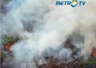 Globalisasi dan Rapuhnya Tata Kelola Publik di Lingkungan Daerah: StudiKasus Kebakaran Hutan dan Lahan (Karhutla) Globalisasi dan Rapuhnya Tata Kelola Publik di Lingkungan Daerah: StudiKasus Kebakaran Hutan dan Lahan (Karhutla)